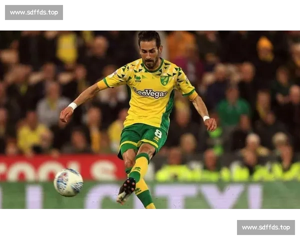 权威体育资讯官网入口实时赛事数据与深度分析平台全面覆盖全球热门项目